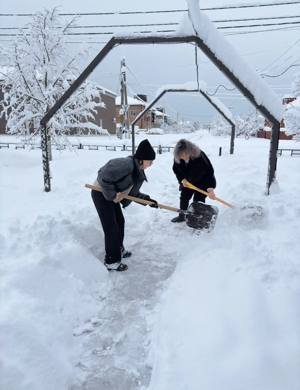 Сугробам — бой!