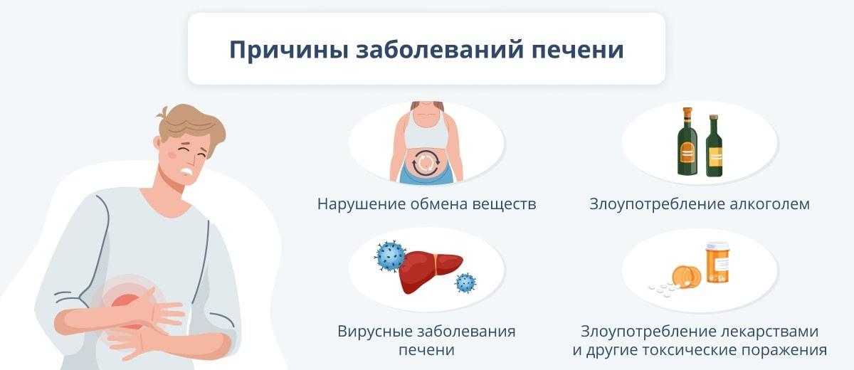 Нормальный обмен веществ в организме человека невозможен без правильной работы печени