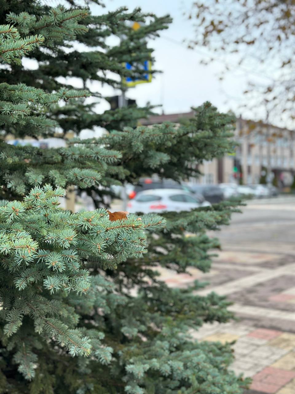 ⚠️ Ухудшение погодных условий 