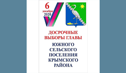 Досрочные выборы