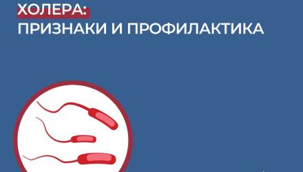 Холера и меры её профилактики - ТОГБУЗ «Никифоровская центральная районная больница»