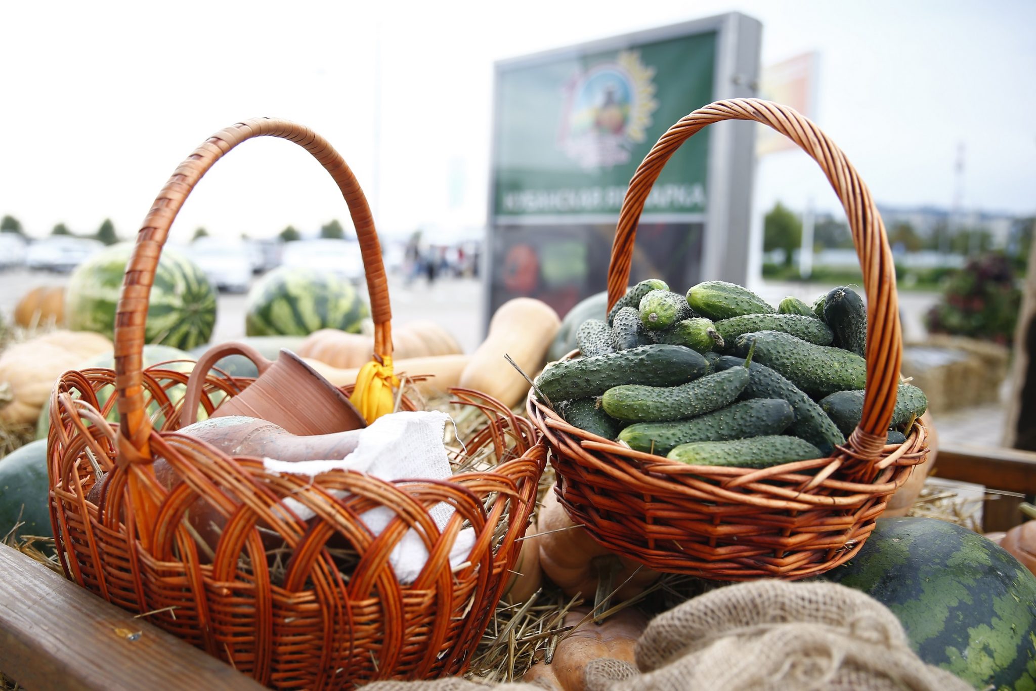 Агропромышленная выставка «Кубанская ярмарка» Фуфаев