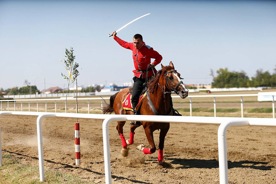 Краснодарский край конный спорт