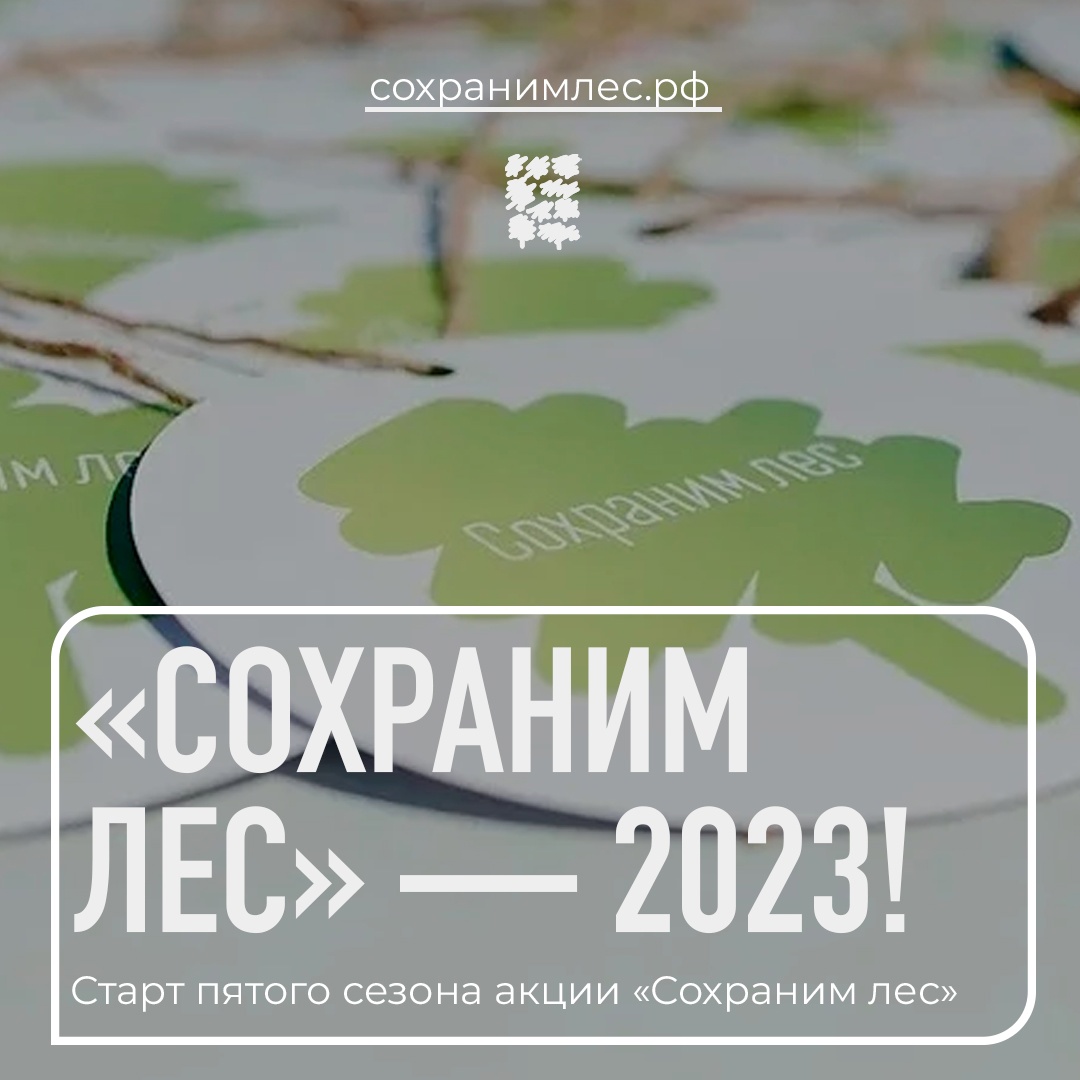 Паспорт федерального проекта сохранение лесов 2025 2030